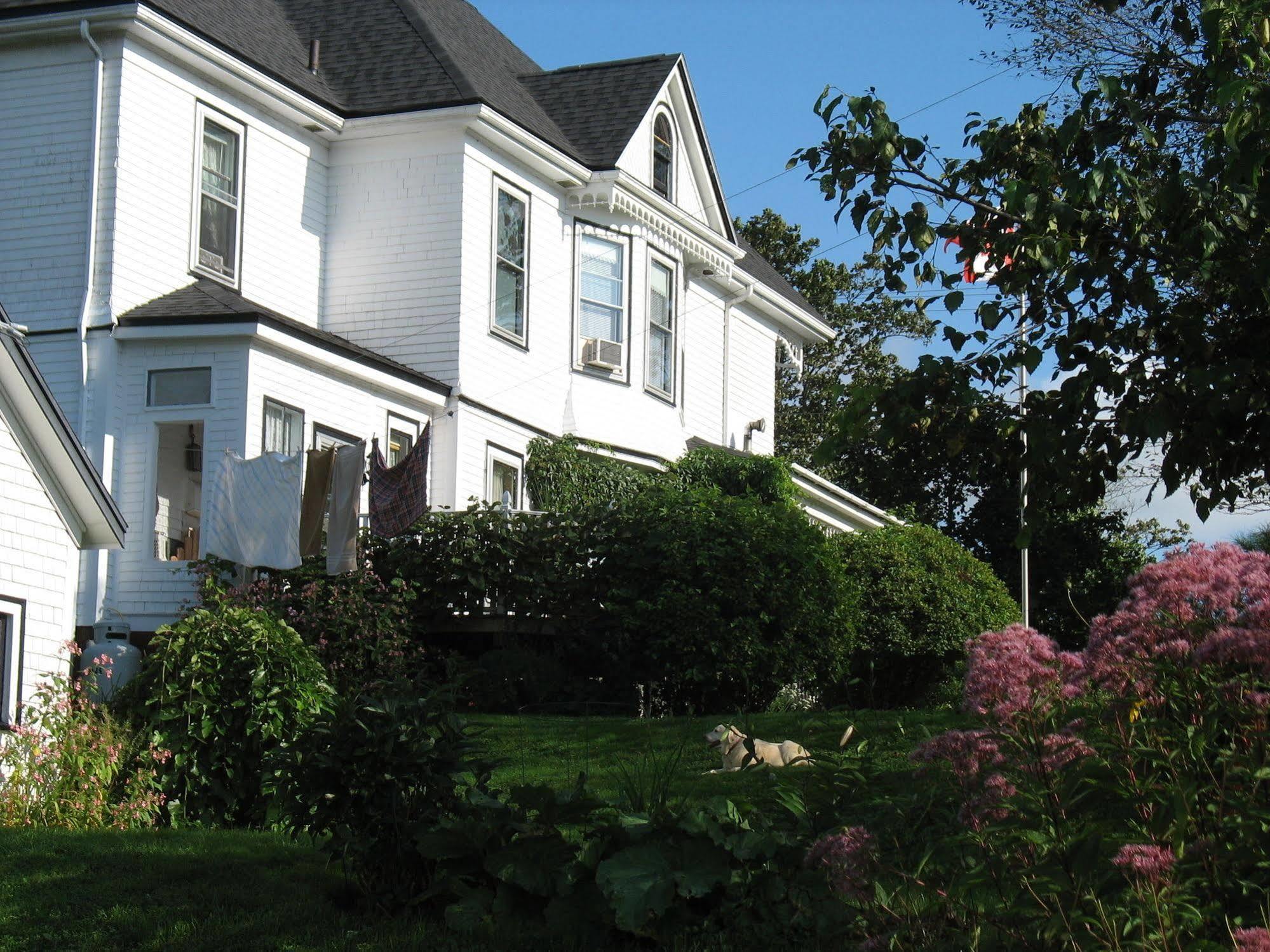 The Nelson House Bed And Breakfast Stewiacke Exterior photo